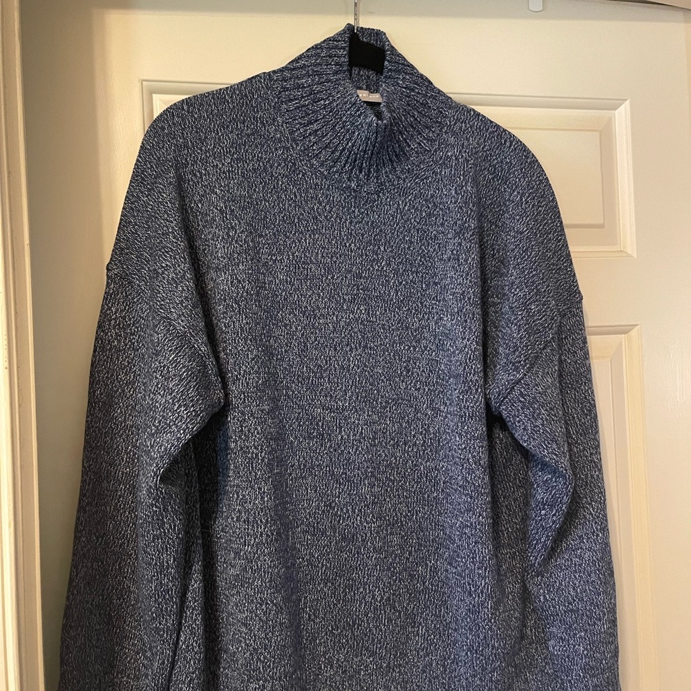 Everlane Turtleneck